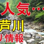 夏の風物詩、アユ釣りの解禁！心待ちにしていた釣り好きが集結