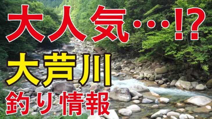 夏の風物詩、アユ釣りの解禁！心待ちにしていた釣り好きが集結