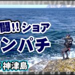 家族旅行の思い出に残る一コマ！東京の離島でのカンパチ釣り