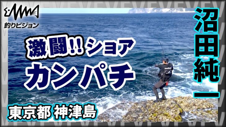 家族旅行の思い出に残る一コマ！東京の離島でのカンパチ釣り