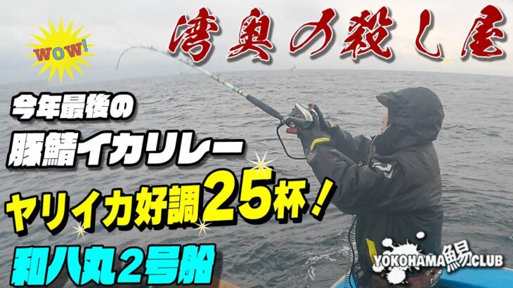 寒サバ４５センチ２度おいしいヤリイカ釣り記録！