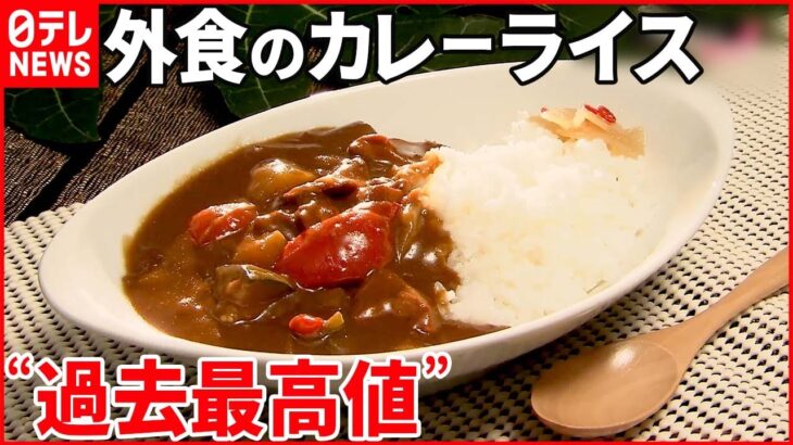 【経済】カレーライスの値上がり傾向が続く背景とは？