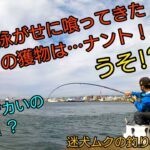 寒ウグイの過酷な生態、「魚穴漁」の驚くべき生態学とは？