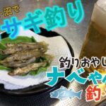 「入れ食い状態！大樹ホロカヤントーで満喫するワカサギ釣りの楽しみ方」