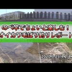 二本毛バリでのテンカラ釣りが盛り上がる！入間川での清流釣りの魅力