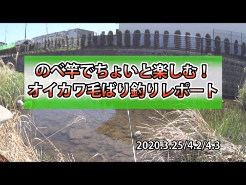 二本毛バリでのテンカラ釣りが盛り上がる！入間川での清流釣りの魅力