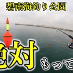 夏の思い出作りにぴったり！碧南海釣り広場でファミリーフィッシング楽しむ♪