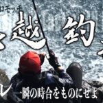 オキアミの使い方が簡単で効果絶大！釣り初心者にもオススメ