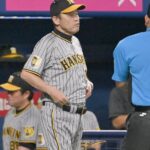 阪神・岡田監督「聞くことあるか？」　１回４失点の伊藤将におかんむり「あんまり伝わってこんわな。俺一人で怒ってるみたい」