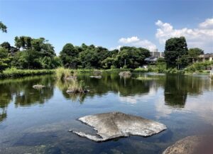 九州の水源地も中華人民が買い占めに入っている模様　まずは熊本の水道が終わる