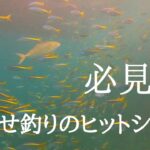 元SKE加藤るみ、今日は釣りに行く！コツをつかんで大漁！