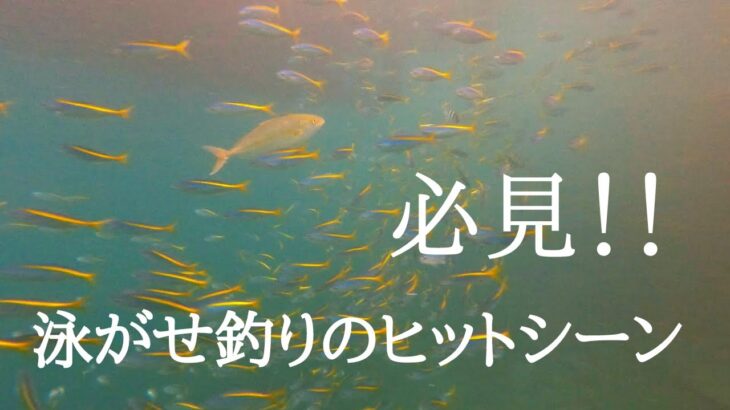 元SKE加藤るみ、今日は釣りに行く！コツをつかんで大漁！