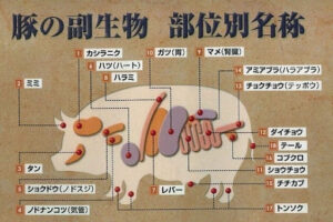 ブタの腎臓移植 執刀医“日本でも動物からヒトへ 研究加速を”