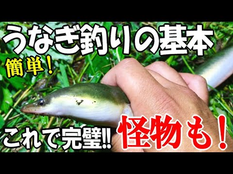 夢の1メートルを狙え！釣り公園でウナギを釣る秘訣