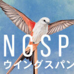 10/11『Wingspan』発売決定！可愛くて激しい？人気ボードゲームがPSに