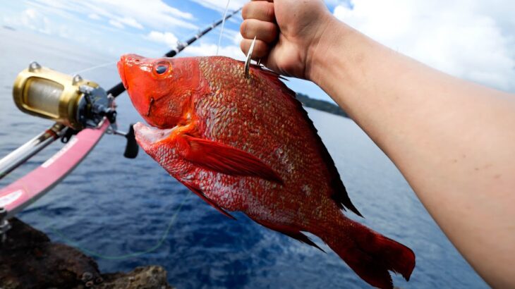 三重で驚異の31kg大型クエが！船のエサ釣りで夢の一匹をゲット