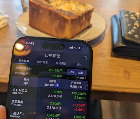 【画像】俺のNISAが大変なことになってるんだけど