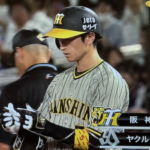 【朗報】近本 ナイス勝ち越しタイムリーや‼️おーん