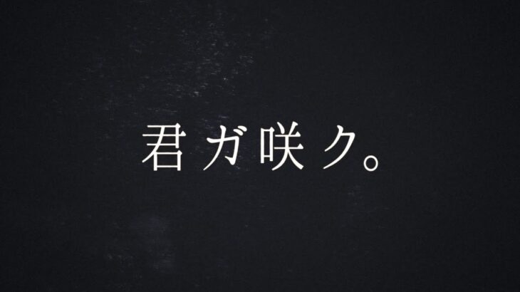 「櫻坂46、三期生楽曲『静寂の暴力』の評価が高まる！映像表現の魅力とは？」