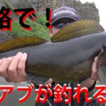 アブラコ49cmを釣り上げた！北海道の釣りスポットと戦略