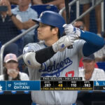 大谷翔平(30).287 48本 110点 49盗塁 ops .978←こいつ