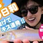 夏の上越エリアでのちょい投げキス釣り入門！仕掛けやオススメポイントを解説