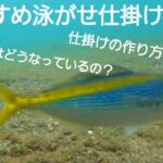 イカ釣り好き必見！福岡の明生丸で体験できる胴突き仕掛けの夜焚きイカ釣り