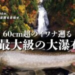 夏の山の中で感じる涼やかな渓流釣りの魅力