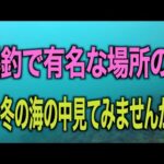 北陸路沿いで見られる良型カレイの釣果に釣り人たちが賑わう