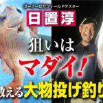 ちょい投げ釣りやサビキ釣りで活躍する収納術とは？