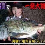 「夜釣りの魅力とは?夏の夜釣りで釣果をアップさせる方法」