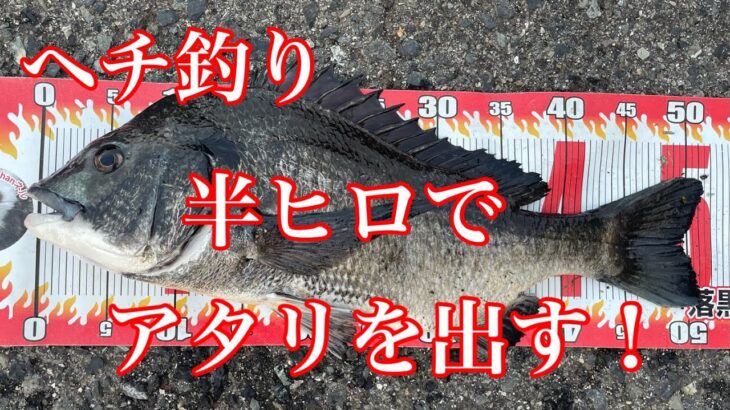 ヘチ釣り初心者必見！壁際釣りのコツと楽しみ方