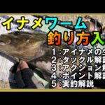 「アブラメ釣り大会」の魅力を探る！佐渡島の伝統行事の隠れた魅力