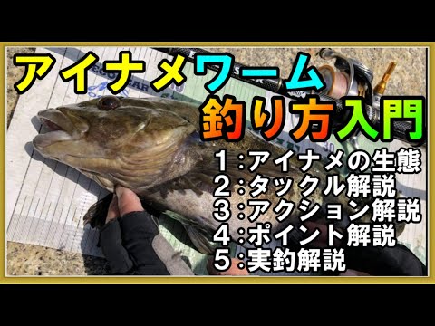 「アブラメ釣り大会」の魅力を探る！佐渡島の伝統行事の隠れた魅力