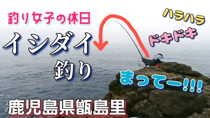 波止釣りでイシダイを狙う！五島列島のかぶせ釣りガイド