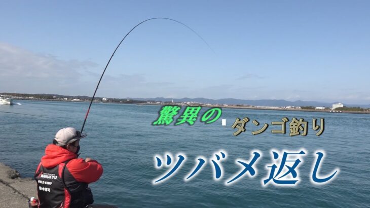 釣り速報！三重で楽しむダンゴ釣りのマダイとクロダイ事情