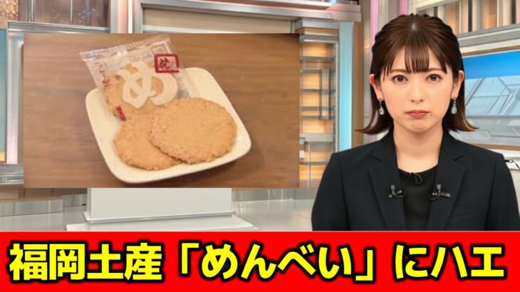 【食品衛生】めんべいにハエちゃん混入！？福岡名物に思わぬゲスト