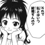 Toloveるの美柑っていうほど興奮しないよな