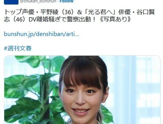 【文春】平野綾、DV離婚へ