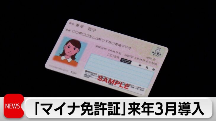 【必見】任意で取得可能なマイナ免許証のメリットとデメリットとは？