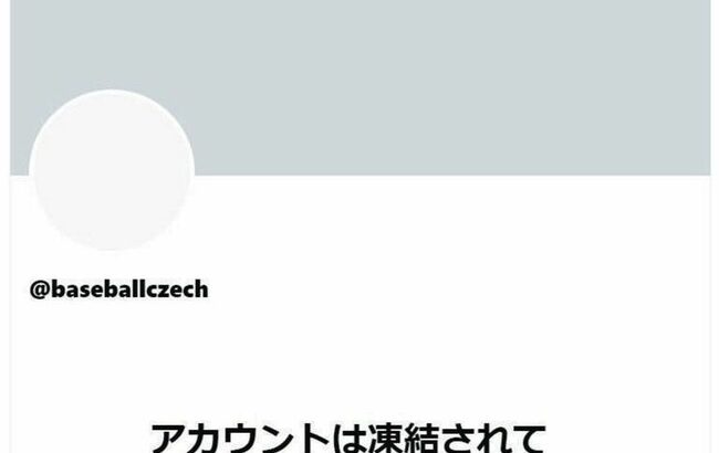 衝撃広がる…チェコ野球協会のXアカウントが凍結　11月9、10日にバンテリンドームナゴヤで侍ジャパンと対戦