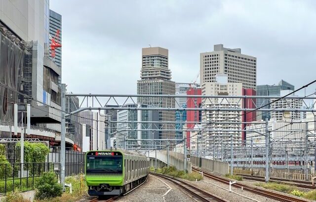 東京民「車はいらない。電車があるからどこでも行ける」