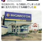 【画像】ビッグモーター、閉店した店舗に草花が生い茂るwww教育教育教育教育教育教育