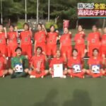 【悲報】高校サッカーで6校合同チームが優勝←これｗｗｗｗｗｗｗｗｗｗｗｗｗｗｗｗ