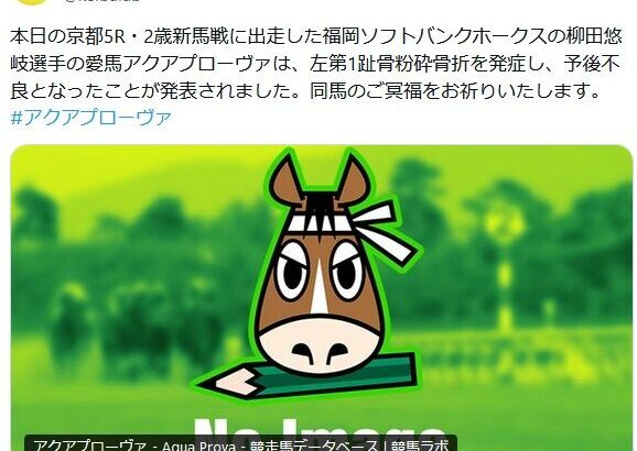 【悲報】ソフトバンク柳田の馬、2歳新馬戦に出走するも左第1趾骨粉砕骨折を発症し予後不良