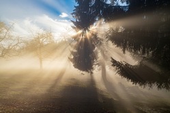 光「速度は1光年です。ずっと世界の最高速度で動きます、時間がありません」←この謎すぎる存在