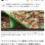 ウクライナ「北朝鮮兵さん、投降すれば1日3食、肉付きで提供するよ♥」