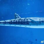 【中国】本物だと思ったら…深センの水族館のジンベエザメはロボットだった！客激怒で返金要求