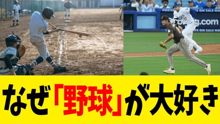 【社会】野球愛が止まらない！日本人がこのスポーツに魅了される理由とは？