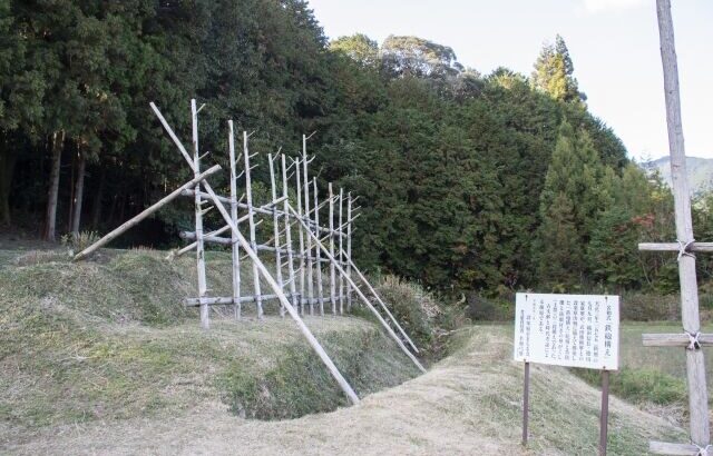 長篠の戦いって天候が雨だったら火縄銃使えなくて織田信長負けてたよな。